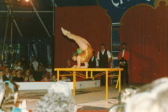 1990-souplessetablew