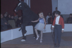 1969-grenadine-2