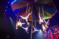 14-Karuzela-trapeze-2