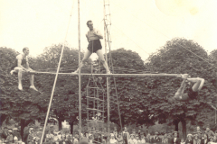 equilibrealechellew